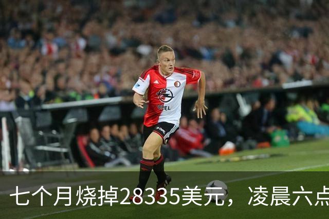 七个月烧掉28335美元，凌晨六点前的工具调用只有0.7%