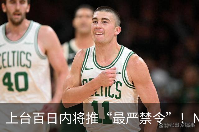上台百日内将推“最严禁令”！NZ工党宣布大选新政！国家党曾支持，他们强烈反对！