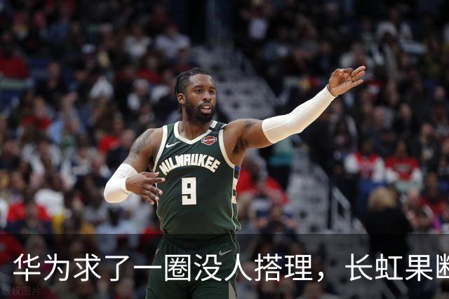 华为求了一圈没人搭理，长虹果断接盘